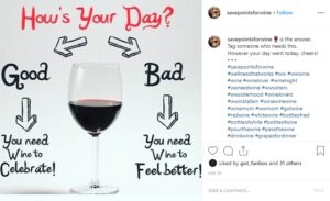 Glass full of red wine with a flow chart text saying "how's your day?" Good? You need wine to celebrate! Bad? You need wine to feel better!