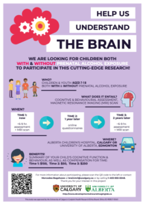 Infographic Help Us Understand the Brain