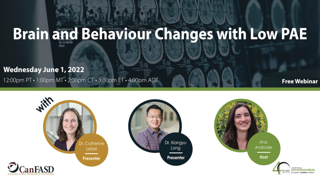 Brain and Behaviour Changes with Low PAE
