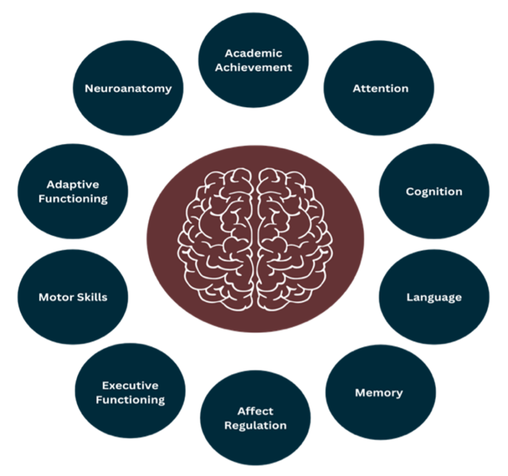 Mental Health Toolkit: Section 5 - CanFASD