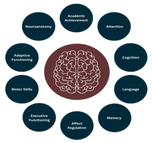 Illustrating the ten neurodevelopmental domains