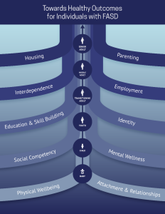 The Towards Healthy Outcomes Framework 2.0 Visual