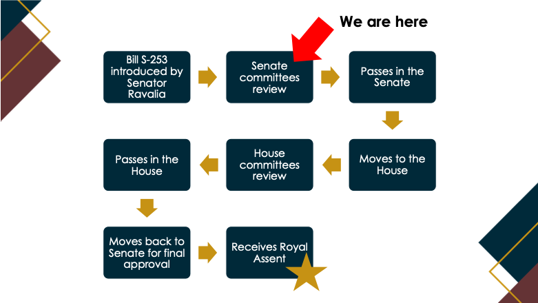 Bill S-253 legislative process map
