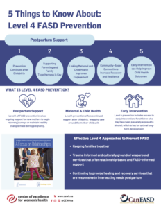 LEVEL 4 Postpartum Support
