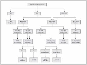 A flow chart describing a series of yes/no assessments that can lead to a diagnosis of FASD.